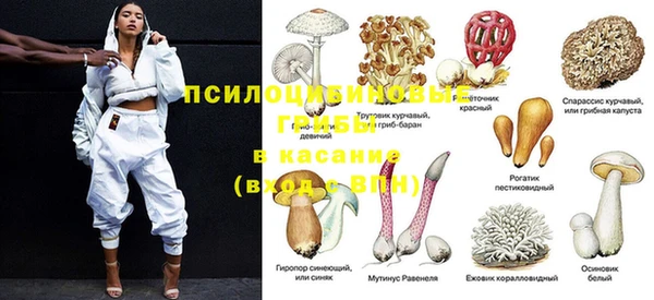 ГАЛЛЮЦИНОГЕННЫЕ ГРИБЫ Бородино